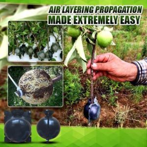 New Best 5pcs Plant Rooting Ball Plant Root Growing Box Grafting Rooting Growing Box Breeding Case For Garden 5/8/12cm In Diameter