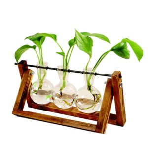 Terrarium Creative Hydroponic Plant Transparent Vase Wooden Frame Vase Decoration Glass Tabletop Plant