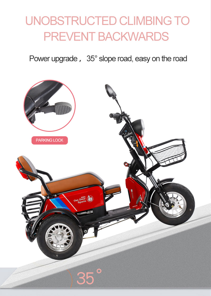 600W/800W Electric Bike 48V 12/20AH Lithium Battery Household Small Scooter Dual-Use Cell Tricycle