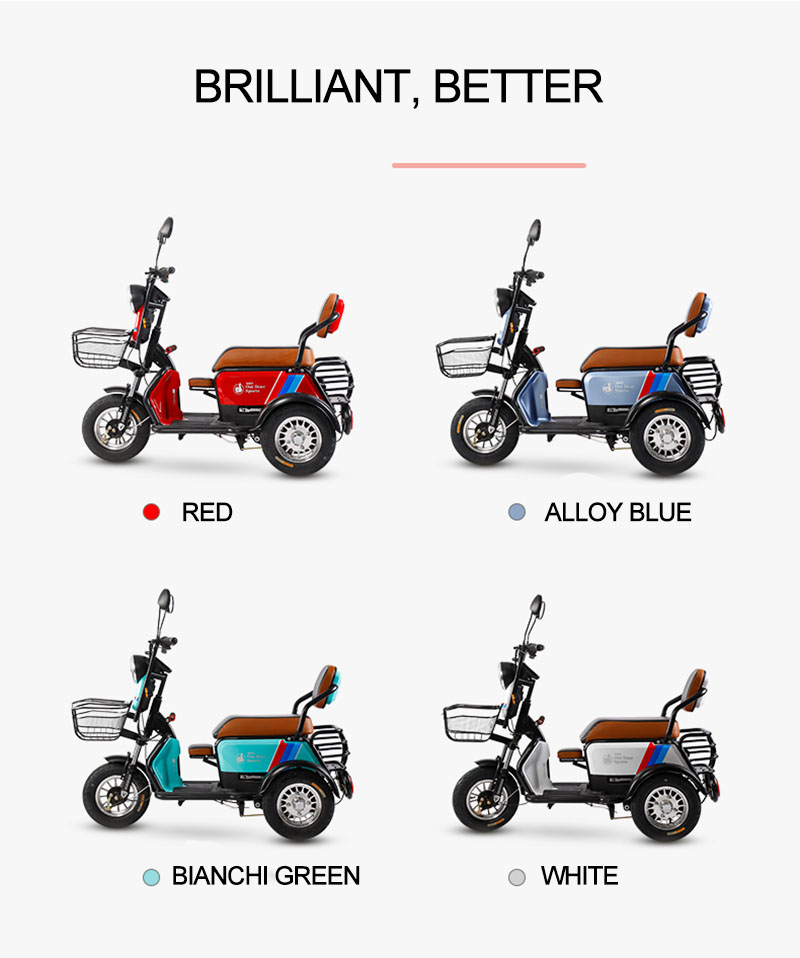 600W/800W Electric Bike 48V 12/20AH Lithium Battery Household Small Scooter Dual-Use Cell Tricycle